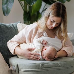 INGLESINA – Elysia cuscino allattamento