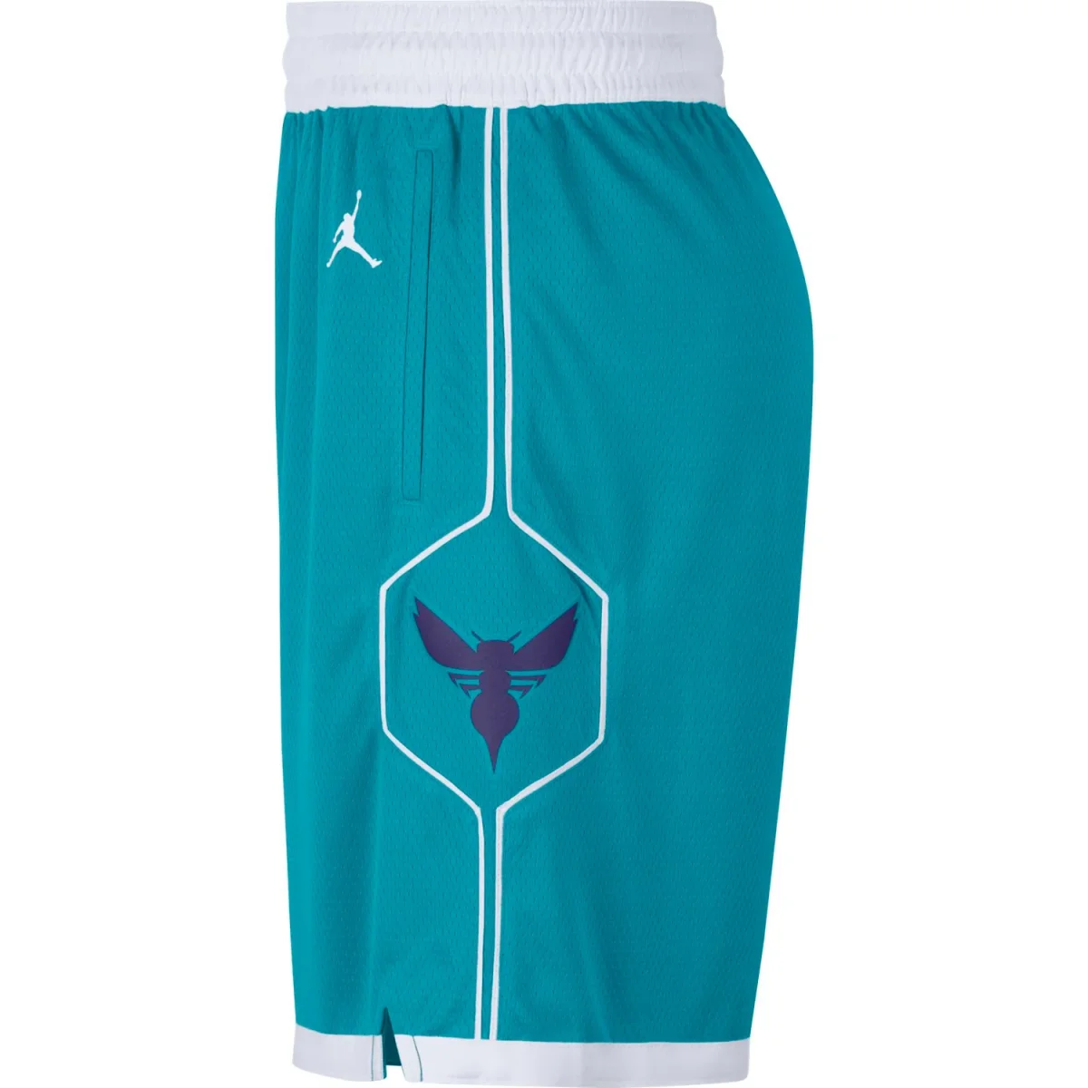 Charlotte Hornets Icon Edition Swingman - immagine 4